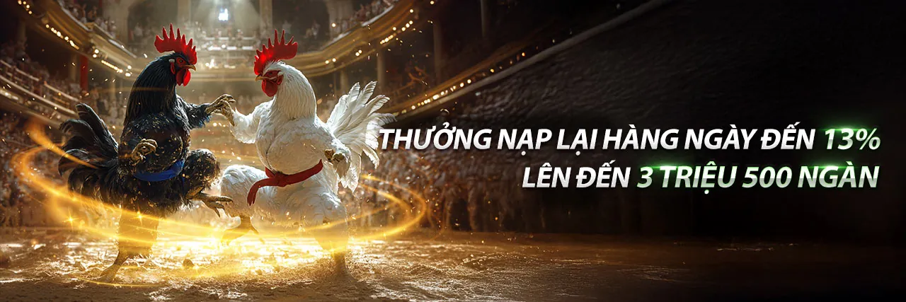 Đá gà SBOBET trực tuyến